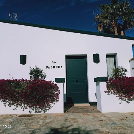 Casa La Palmera - Solo Familias Y Parejas Кониль-де-ла-Фронтера Экстерьер фото